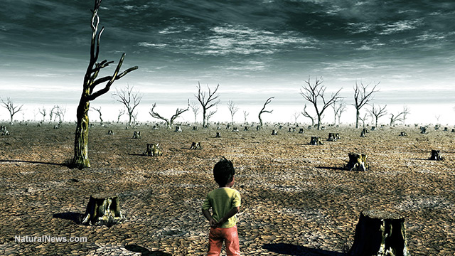 Child-Walking-Apocalypse-War-Torn-Land.jpg