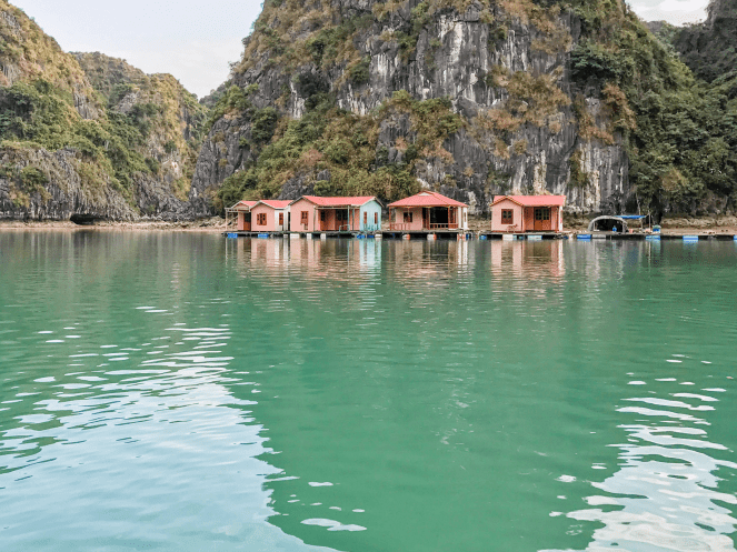 Screenshot 2017-04-18 11.38.27.png