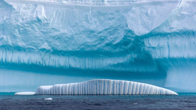 2_Rohan jain_socialpoop_envornmnet_parisaccord_trump_ivankatrump_jaredkushner_obama_ .jpg